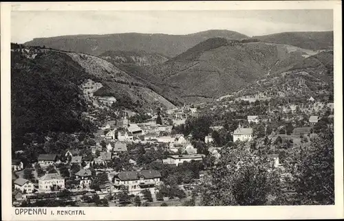 Ak Oppenau im Schwarzwald, Panorama