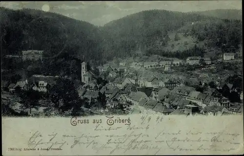 Mondschein Ak Triberg im Schwarzwald, Gesamtansicht bei Nacht