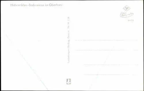 Ak Hahnenklee Bockswiese Goslar im Harz, Teilansicht