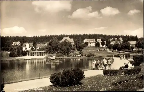 Ak Hahnenklee Bockswiese Goslar im Harz, Am Kurteich