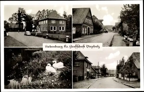 Ak Siedenburg in Niedersachsen, Ortsansichten, Schwäne