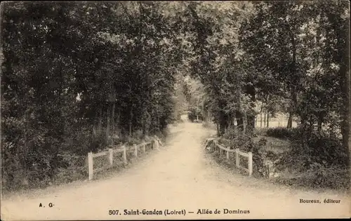 Ak Saint Gondon Loiret, Allee de Dominus