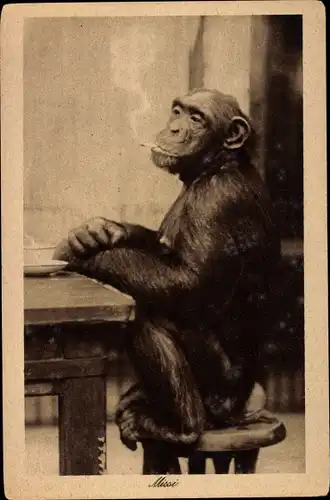 Ak Schimpanse Missi mit Zigarette