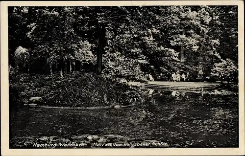 Ak Hamburg Wandsbek, Wandsbeker Gehölz, Wasserpartie