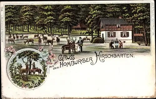 Litho Bad Homburg vor der Höhe Hessen, Homburger Hirschgarten