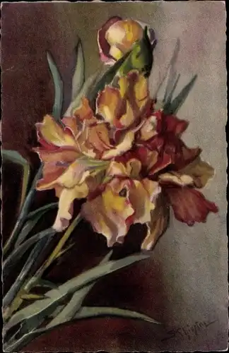 Künstler Ak Chiostri, Carlo, Gelb orange Blüten, Nelke