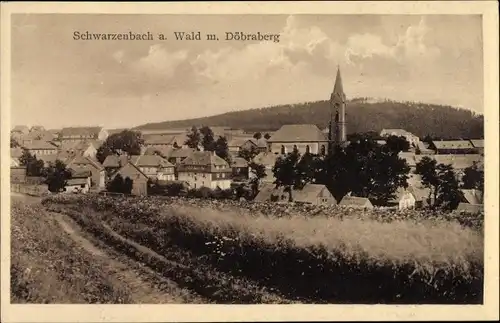 Ak Schwarzenbach am Wald Oberfranken, Ort mit Döbraberg