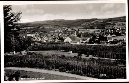 Ak Spalt Mittelfranken, Panorama mit Hopfenwald