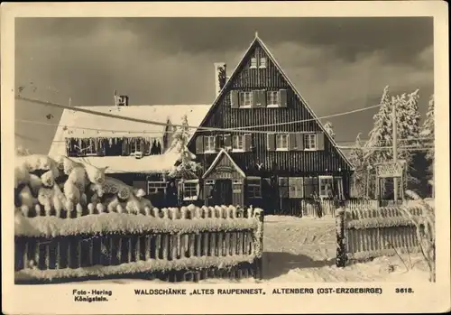 Ak Altenberg im Erzgebirge, Waldschänke Altes Raupennest, Winter