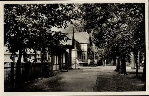 Ak Pritzwalk in der Prignitz, Forsthaus und Hainholz Restaurant