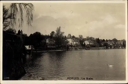 Ak Morges Kt. Waadt Schweiz, La Baie, Schwan