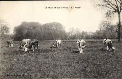 Ak Yerres Essonne, La Prairie