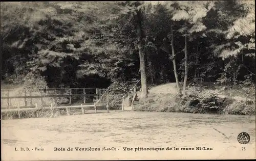 Ak Verrières Essonne, Bois de Verrières, Vue pittoresque de la mare St. Leu