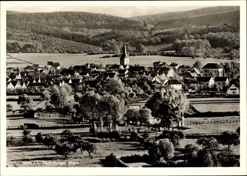 Ak Horn Bad Meinberg im Kreis Lippe, Totalansicht der Ortschaft mit Umgebung