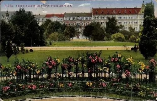 Ak Riesa an der Elbe Sachsen, Rosenanlagen, Kaiser Wilhelm Platz