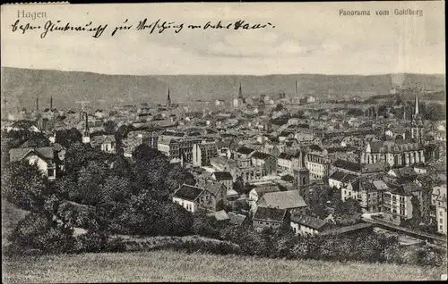 Ak Hagen in Westfalen, Panorama