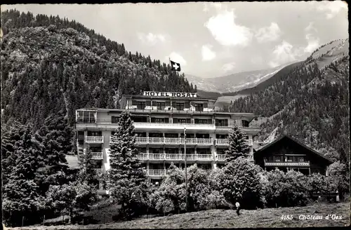 Ak Château d'Œx Oex Kanton Waadt, Hotel Rosat