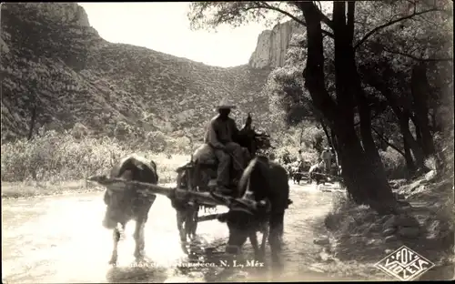 Foto Ak Mexiko, Cañón, Mexikanischer Bauer, Fuhrwerk, Rind
