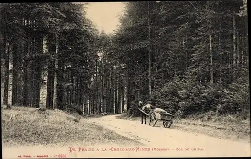 Ak Col du Chipal Vosges, Route de Fraize a La Croix aux Mines, Waldpartie