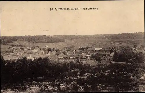 Ak Le Vaudoué Seine-et-Marne, Vue Generale