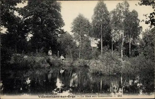 Ak Villemoisson sur Orge Essonne, La Mare aux Grenouilles