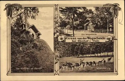 Ak Oberhof im Thüringer Wald, Wegscheide, Wildfütterung, Triefstein