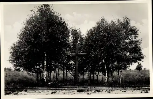 Ak Amsterdamscheveld Erica Drenthe Niederlande, Kruis, Kreuz