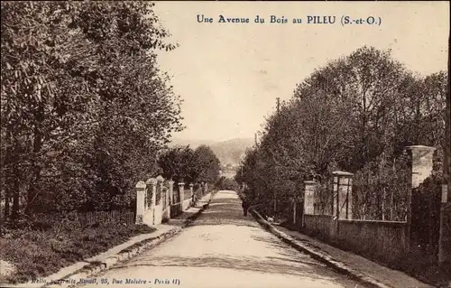 Ak Massy Essonne, Une Avenue du Bois au Pileu