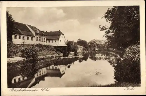 Ak Bischofswerda in Sachsen, Teich