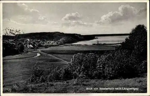 Ak Langballigau Langballig Schleswig Holstein, Blick von Westerholz