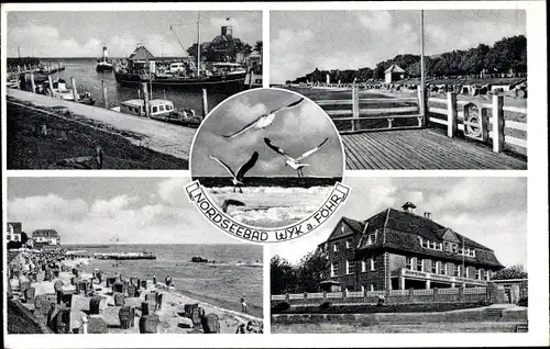 Ak Wyk auf Föhr, Ortschaft, Möwe