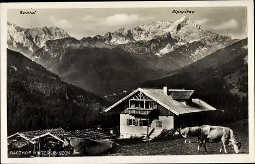 Ak Garmisch Partenkirchen in Oberbayern, Gasthof Hintergraseck, Alpspitze, Raintal