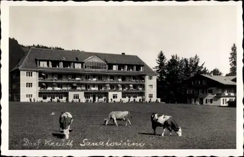 Ak Kreuth am Tegernsee Oberbayern, Sanatorium, weidende Kühe