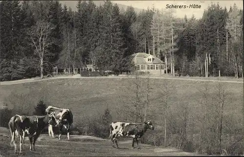Ak Ohrdruf in Thüringen, Blick auf die Scherers Hütte, Kühe