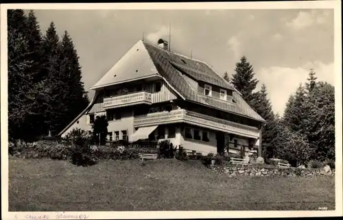 Ak Hinterzarten im Schwarzwald, Pension Haus Gremmelspacher, Am Wald