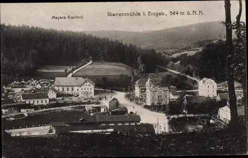 Ak Bienenmühle Erzgebirge, Meyers Gasthof, Panorama