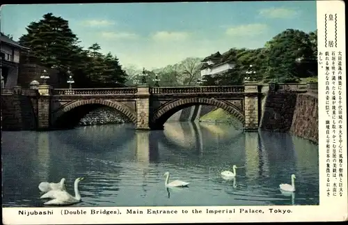 Ak Tokyo Tokio Japan, Nijubashi, Main Entrance to the Imperial Palace, Schwäne