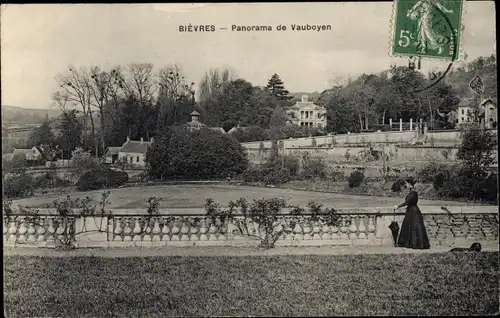 Ak Bièvres Essonne, Panorama de Vauboyen