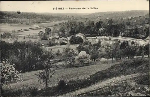 Ak Bièvres Essonne, Panorama de la Vallee