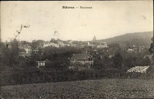 Ak Bièvres Essonne, Panorama
