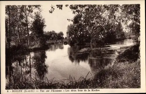 Ak Boigny Essonne, Vue sur l'Essonne, Les deux bras de la Riviere