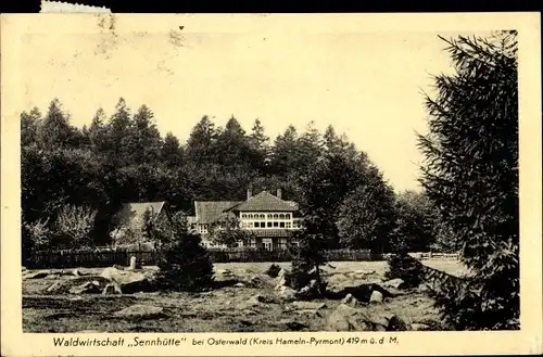 Ak Osterwald Salzhemmendorf Niedersachsen, Waldwirtschaft Sennhütte