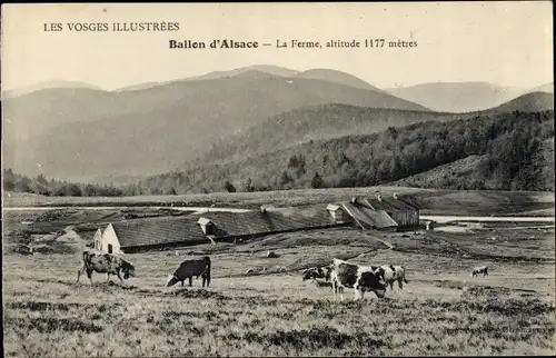 Ak Ballon d'Alsace Vosges, La Ferme