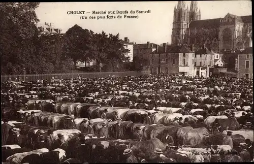 Ak Cholet Maine et Loire, Marche aux Boeufs du Samedi