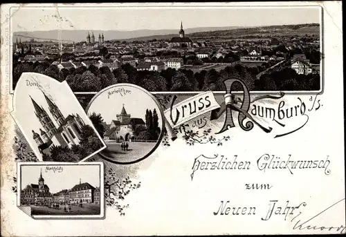 Vorläufer Litho Naumburg an der Saale, Glückwunsch Neujahr, Marientor, Dom, Marktplatz, 1894