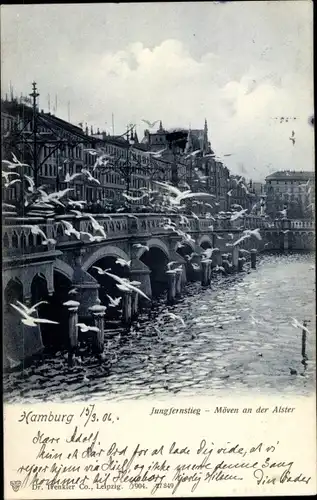 Ak Hamburg Mitte Altstadt, Jungfernstieg, Möwen an der Alster