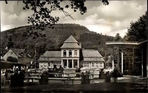 Ak Bad Grund im Harz, Im Kurpark