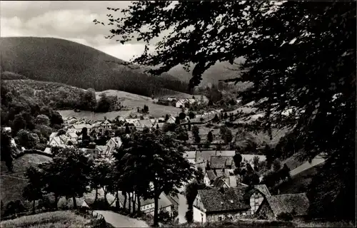 Ak Bad Grund im Harz, Das Kehlstal, Ort