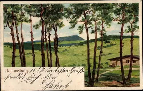 Litho Hammelburg in Unterfranken Bayern, Holzhütte, Wiese