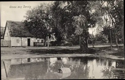 Ak Senzig Königs Wusterhausen, Teilansicht mit Dorfteich